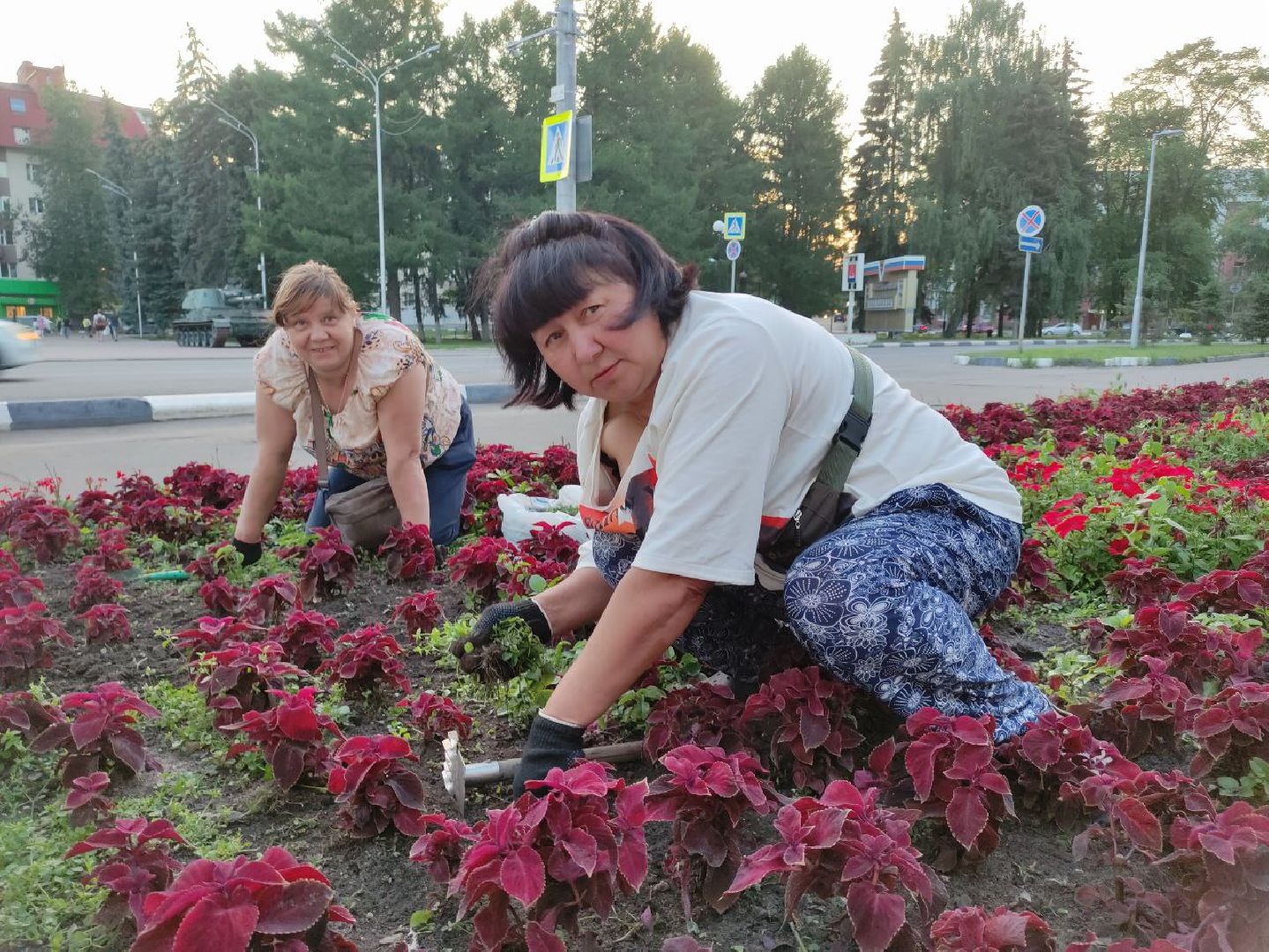 лыткарино, жкх, цветы,