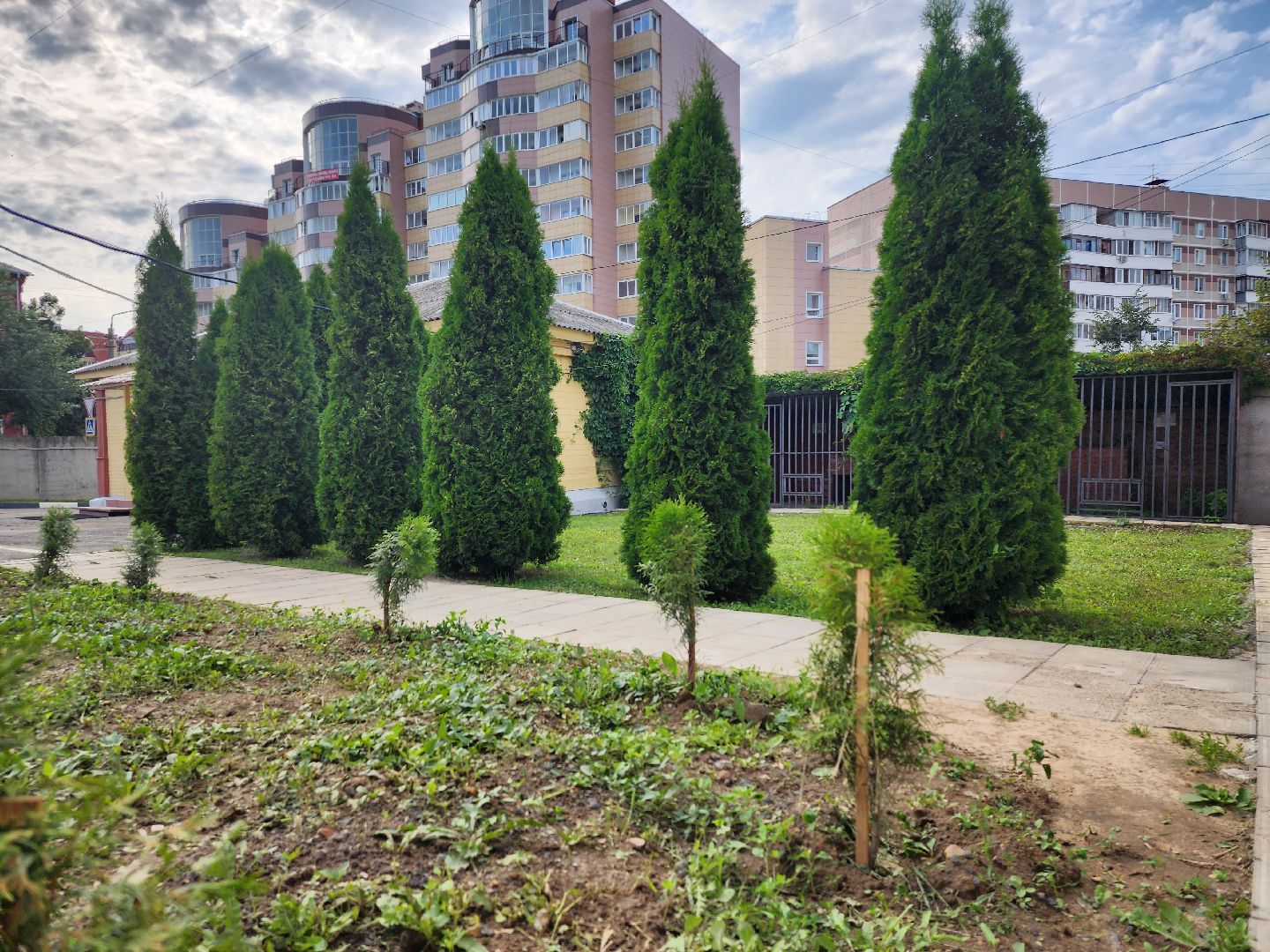 МВД, Аллея Ветеранов, полиция, Ногинск, Богородский городской округ