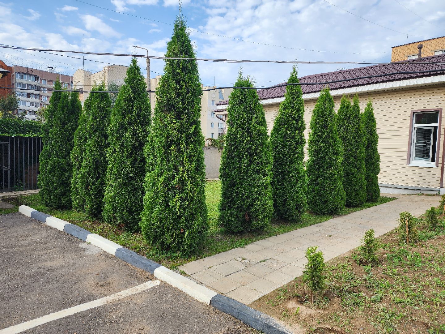 МВД, Аллея Ветеранов, полиция, Ногинск, Богородский городской округ