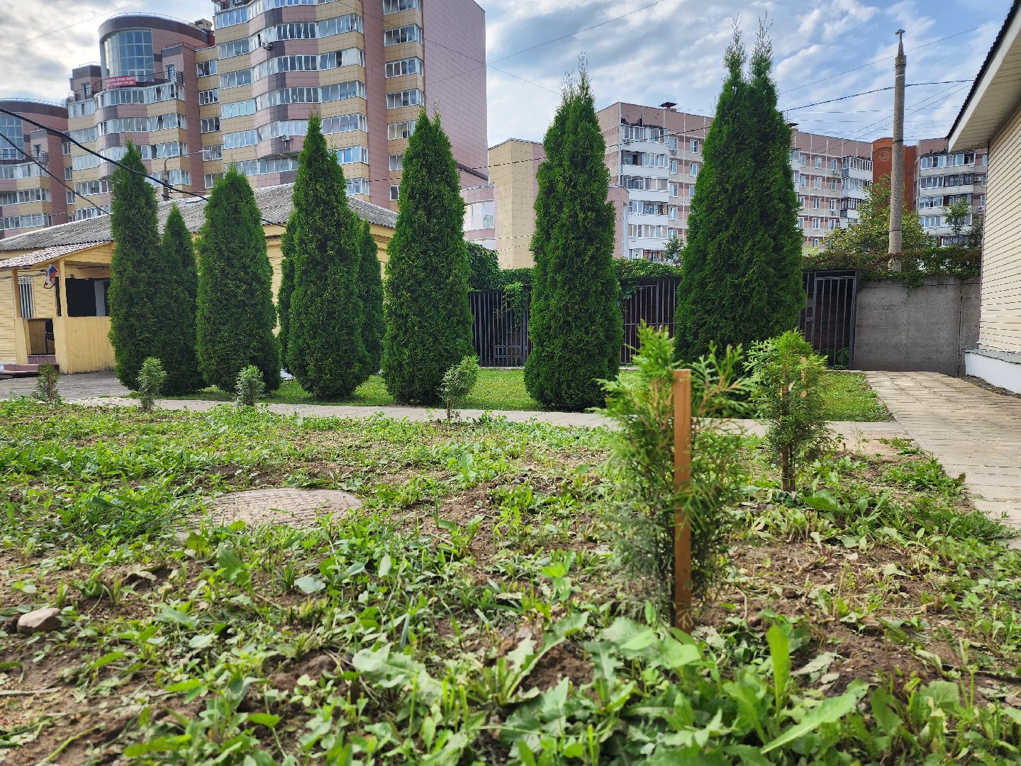 МВД, Аллея Ветеранов, полиция, Ногинск, Богородский городской округ
