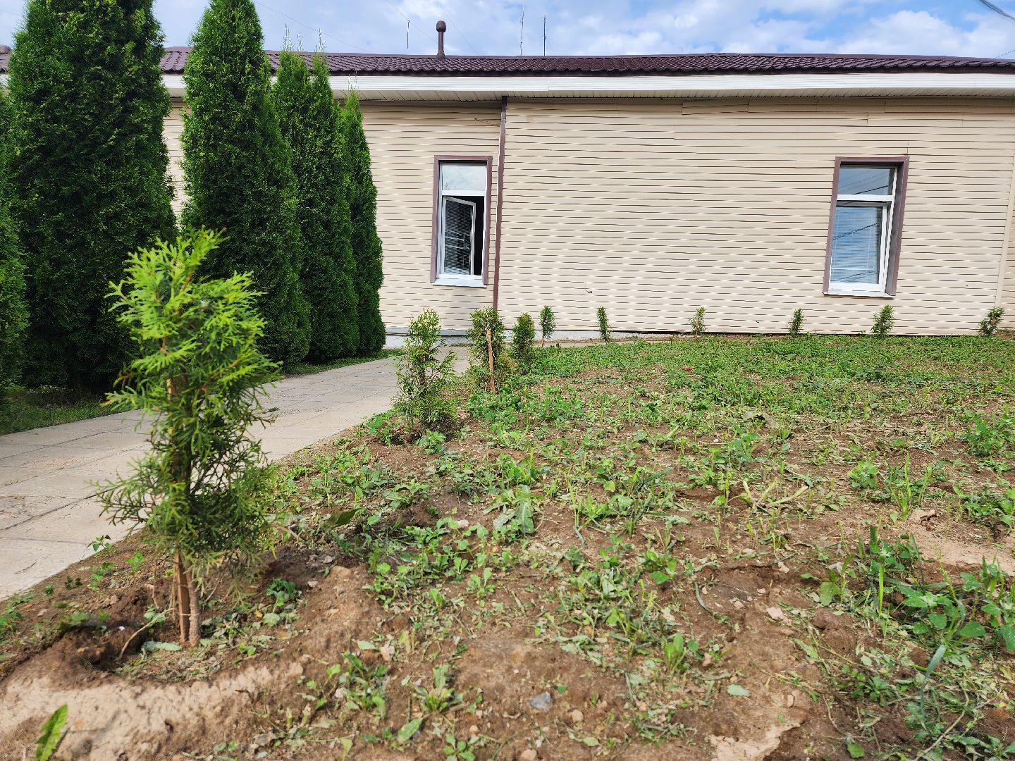 МВД, Аллея Ветеранов, полиция, Ногинск, Богородский городской округ