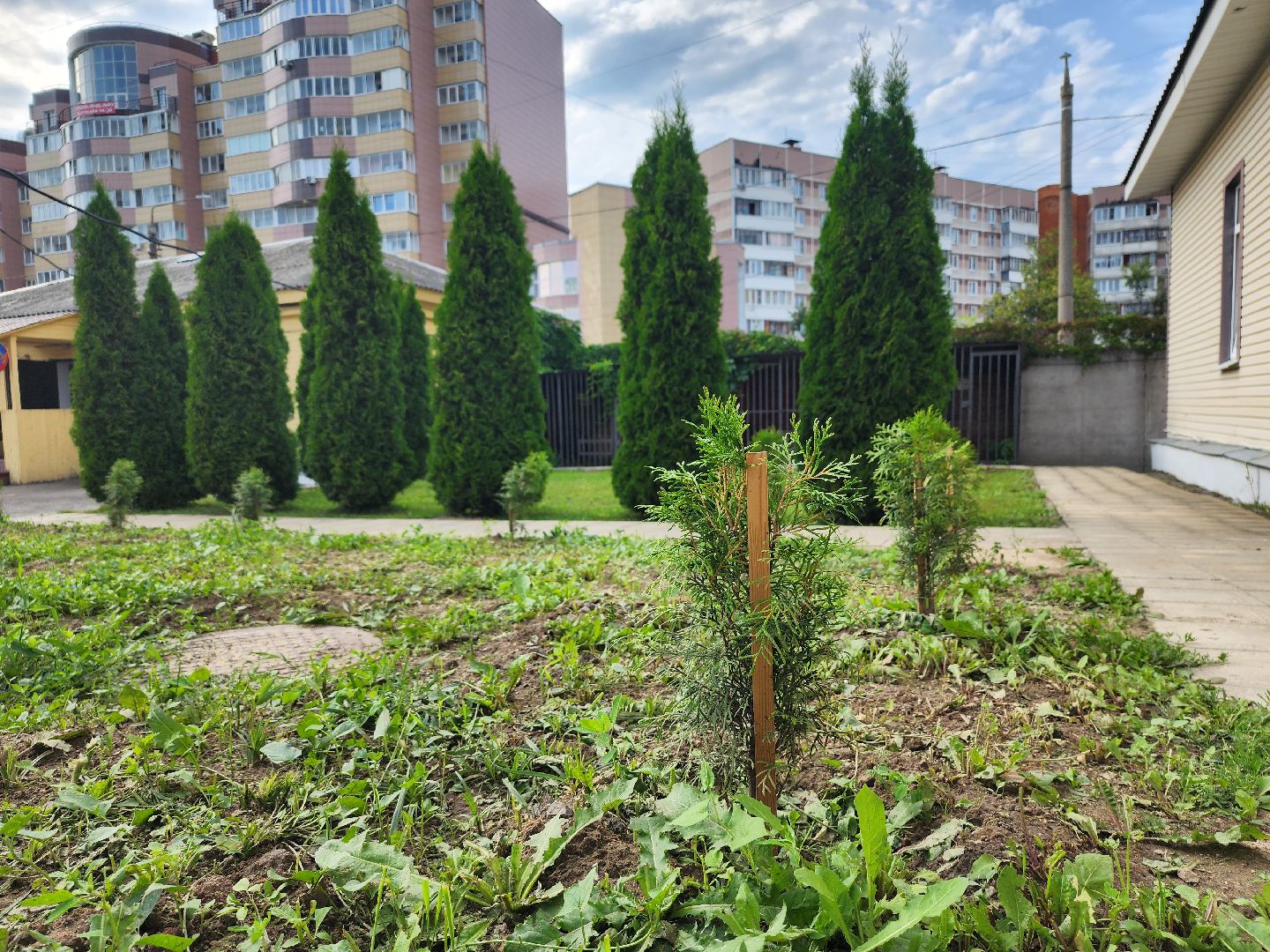 МВД, Аллея Ветеранов, полиция, Ногинск, Богородский городской округ