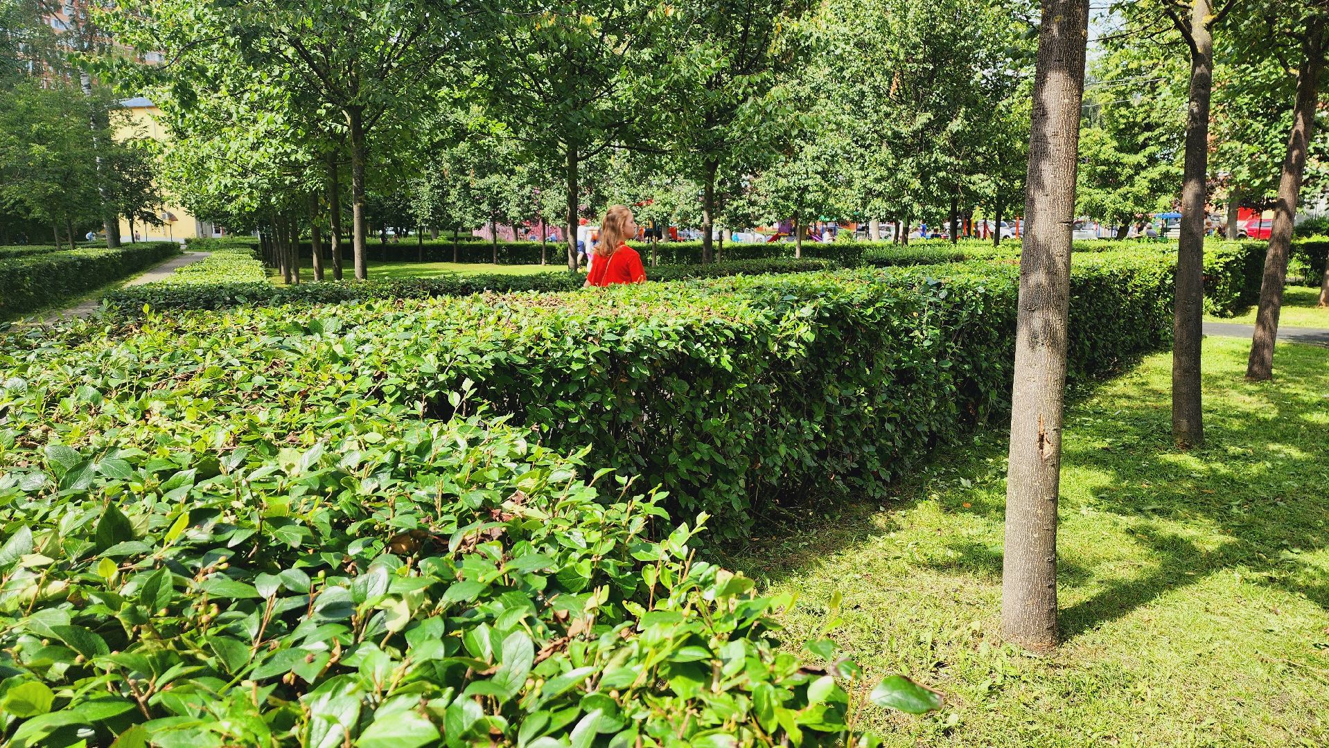 Подмосковье, Ивантеевка, благоустройство