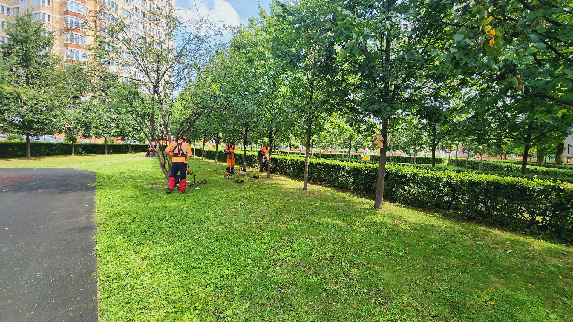 Подмосковье, Ивантеевка, благоустройство