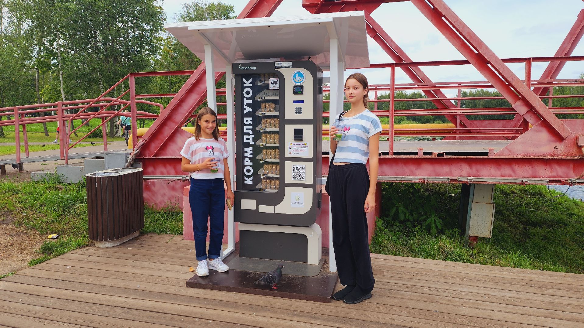 Подмосковье, Ивантеевка, Покорми уток, утка, корм