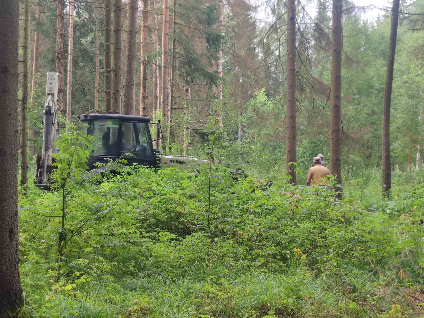 Уборка деревьев, ЖКХ, благоустройство, Добродел, Дубна