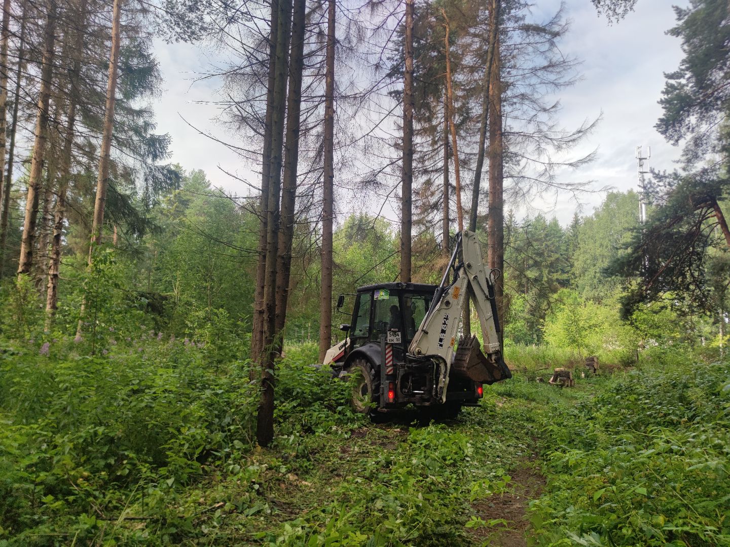 Уборка деревьев, ЖКХ, благоустройство, Добродел, Дубна