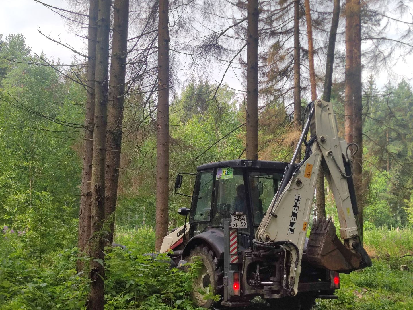 Уборка деревьев, ЖКХ, благоустройство, Добродел, Дубна