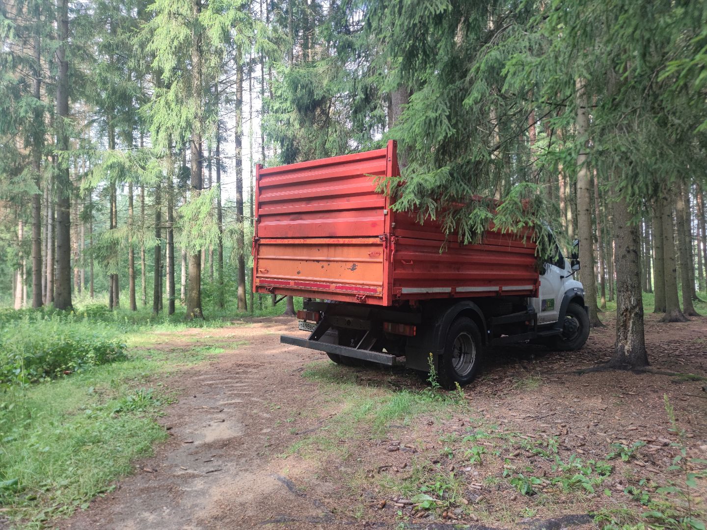 Уборка деревьев, ЖКХ, благоустройство, Добродел, Дубна