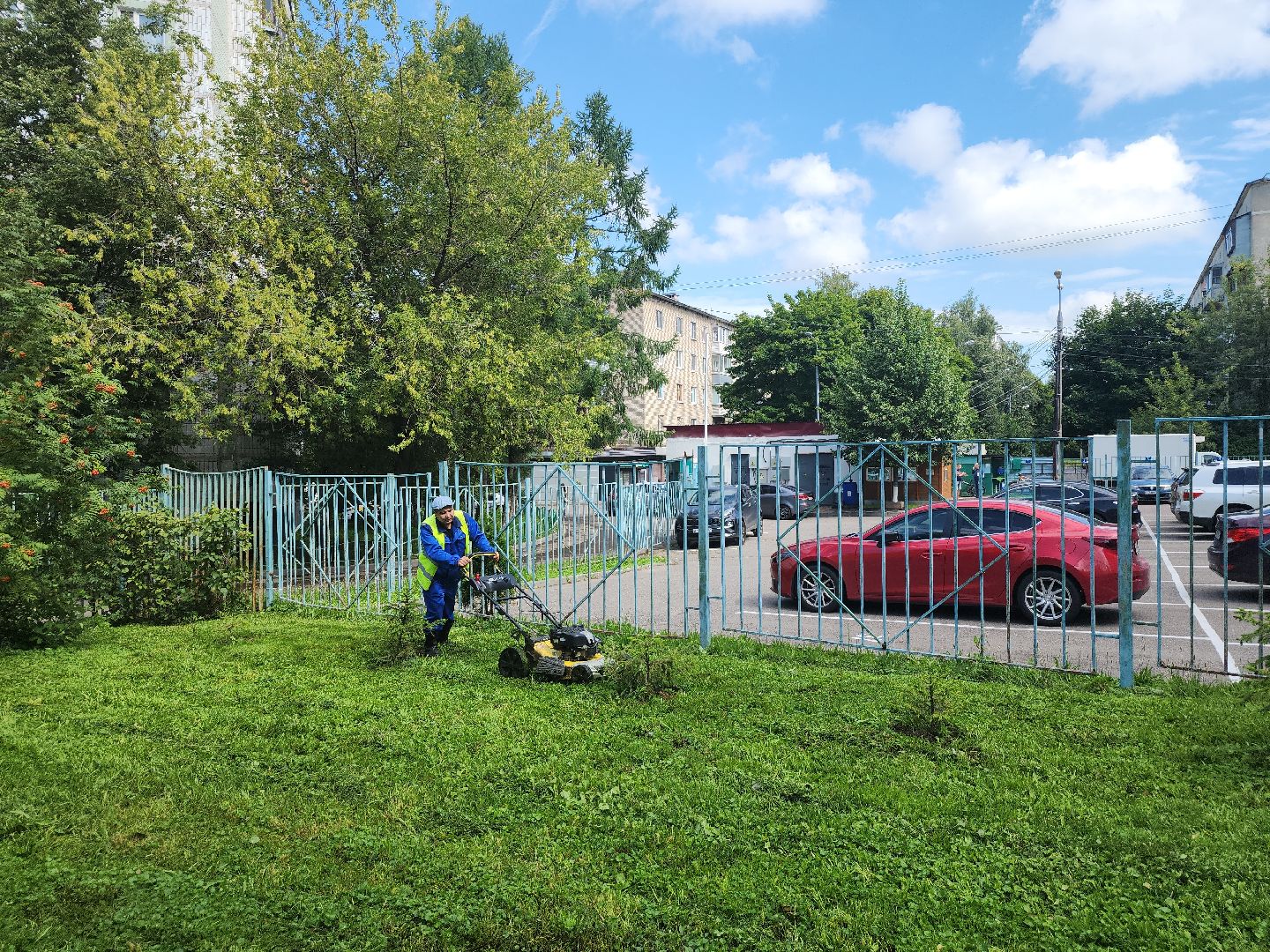 жкх; благоустройство; покос; видное