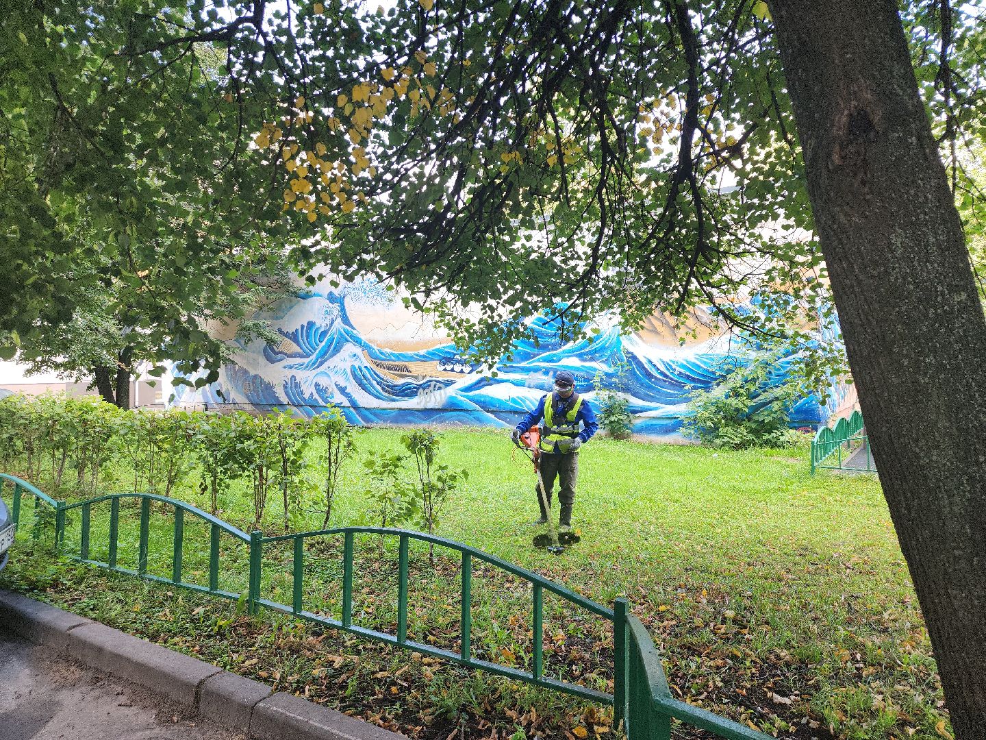 жкх; благоустройство; покос; видное