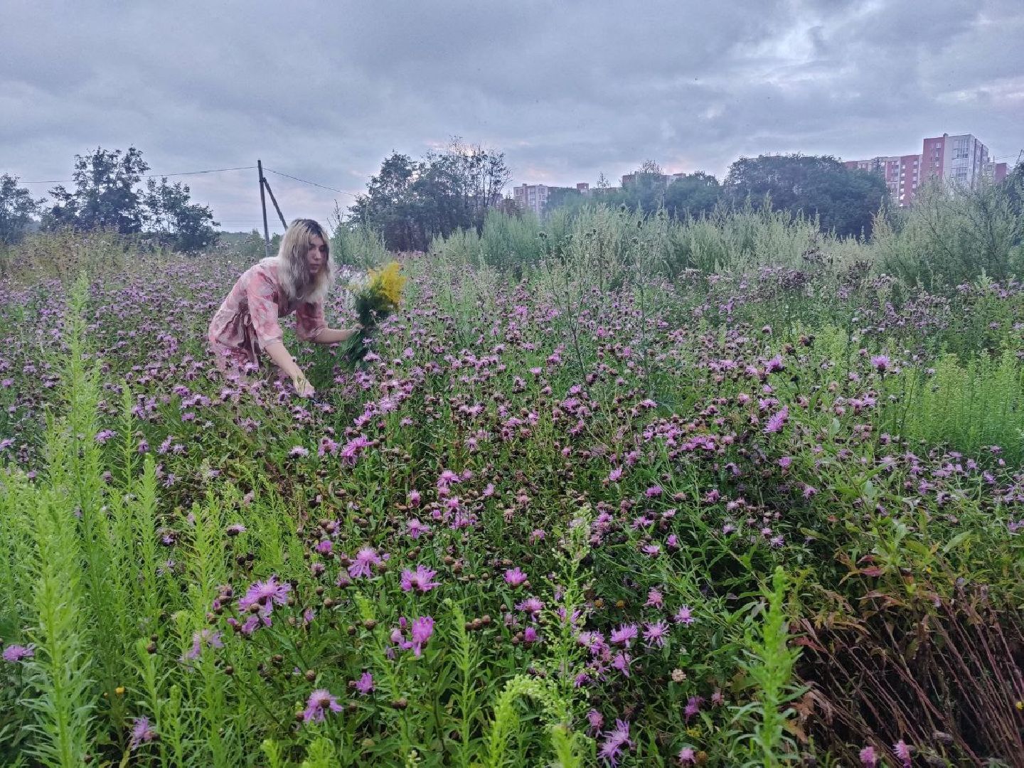 Нахабино, цветы, букет