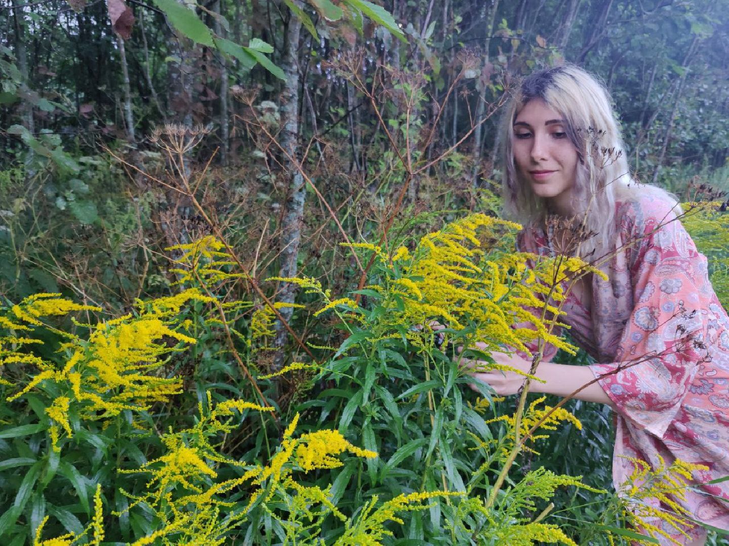 Нахабино, цветы, букет