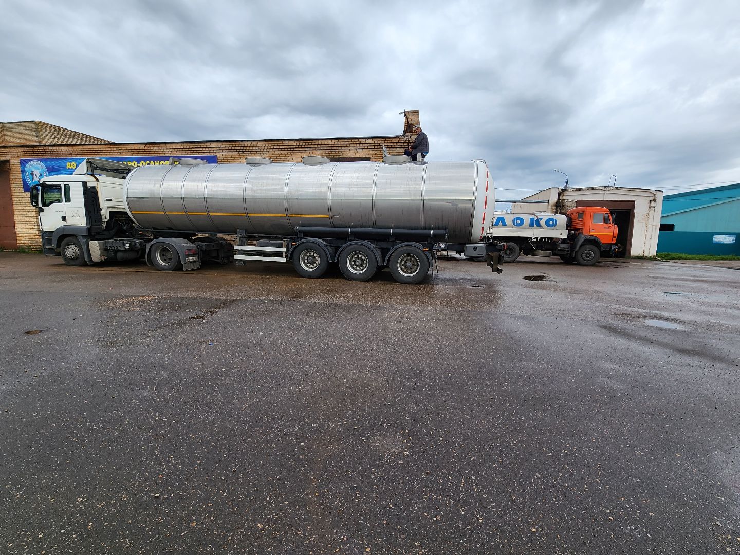 Звенигород, сельское хозяйство, фермерство, меры поддержки фермерам