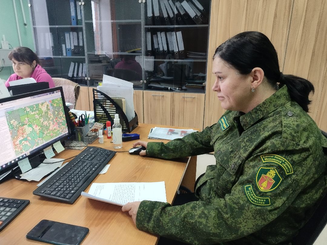 Истра, СВО, женщина, лес,