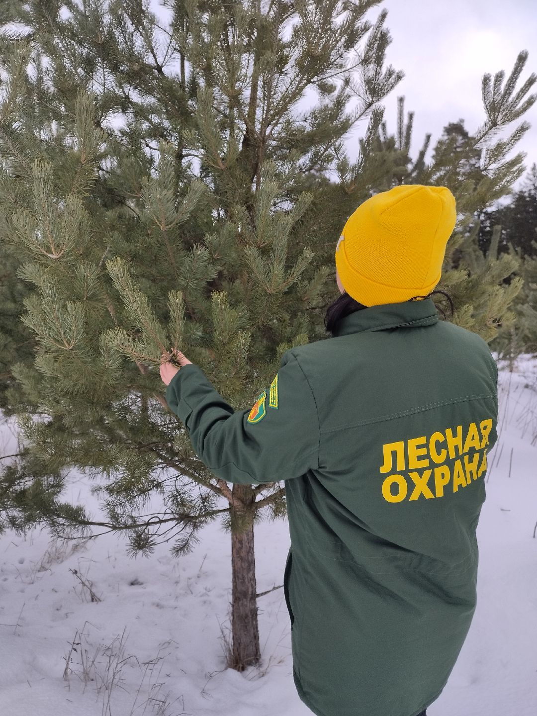 Истра, СВО, женщина, лес,