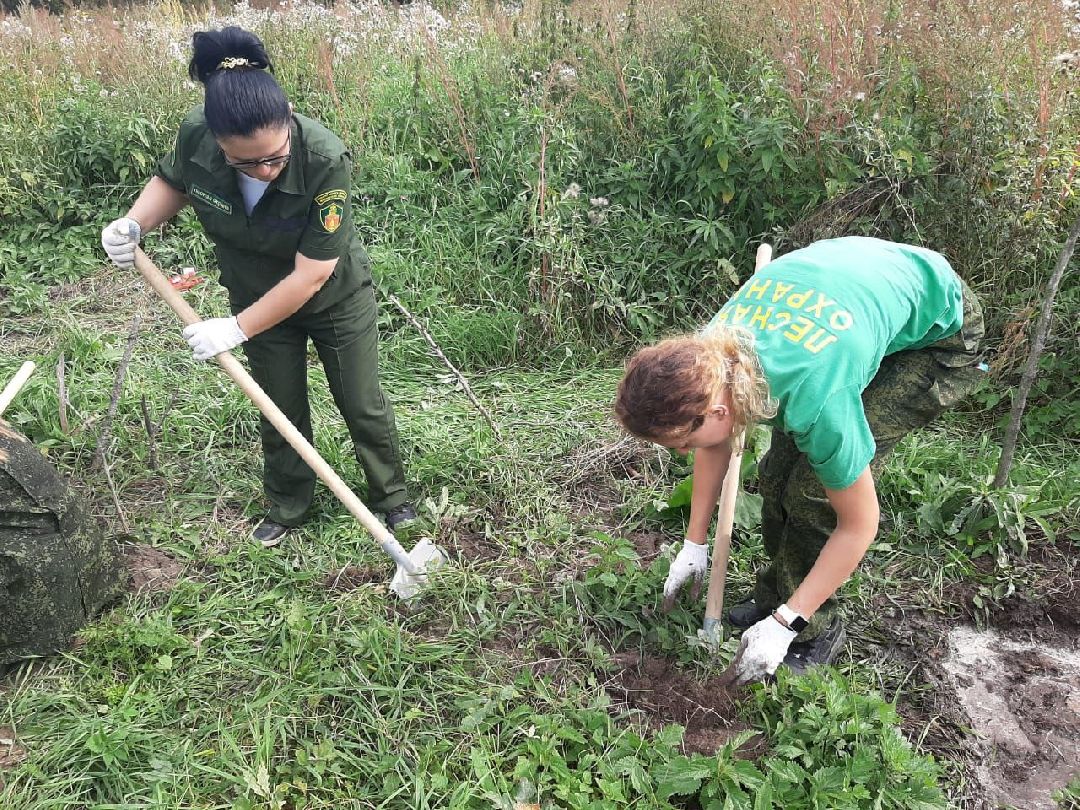Истра, СВО, женщина, лес,