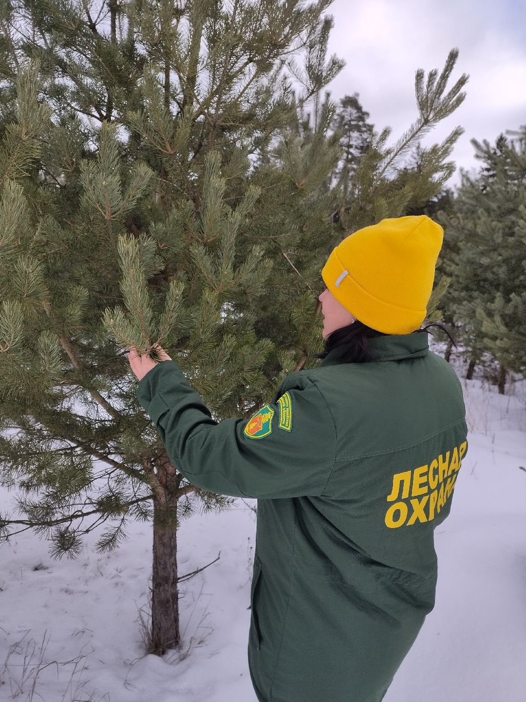 Истра, СВО, женщина, лес,