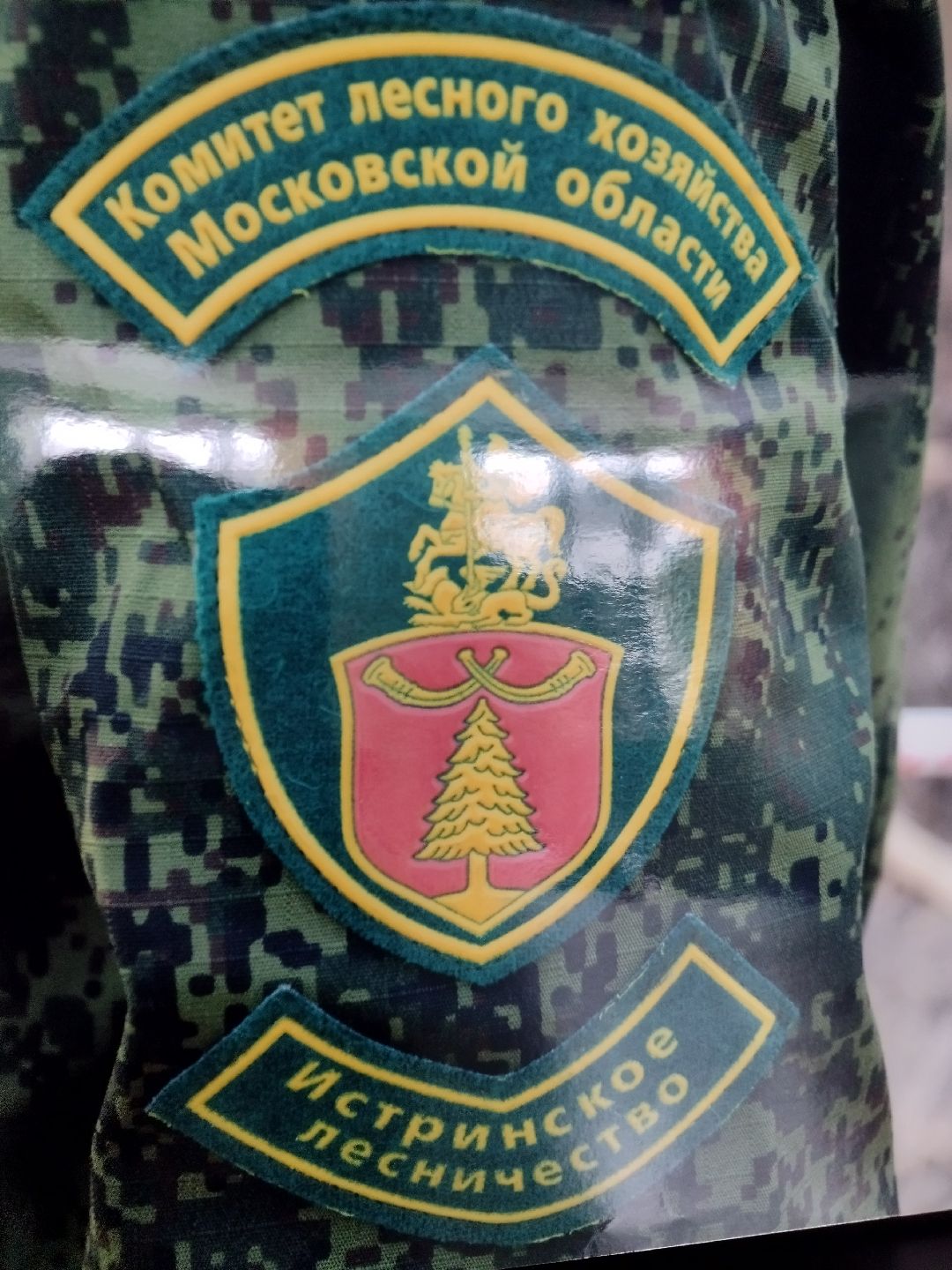 Истра, СВО, женщина, лес,