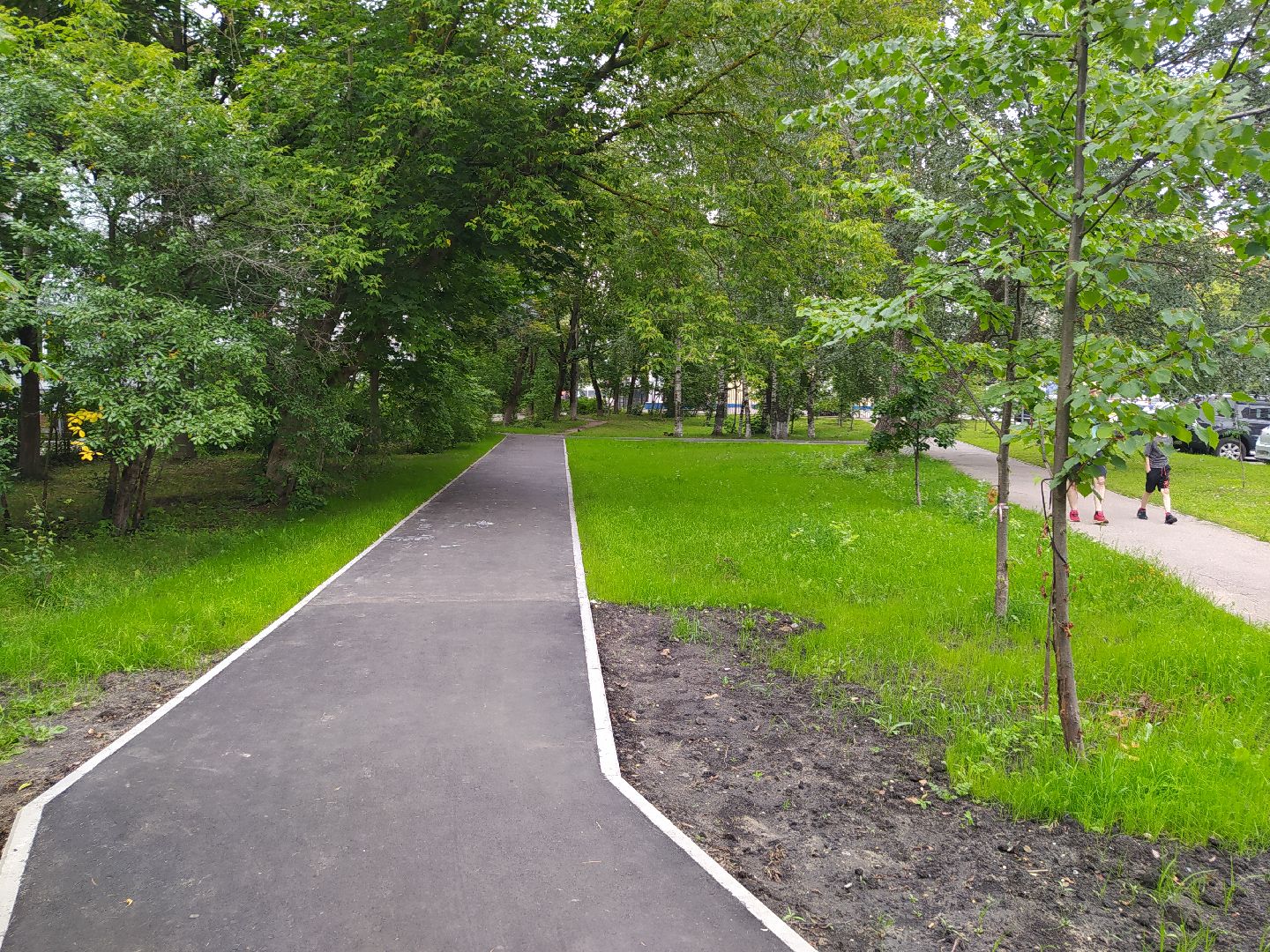 Нахабино, тропинка, благоустройство