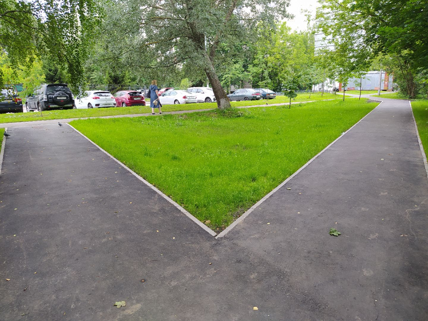 Нахабино, тропинка, благоустройство