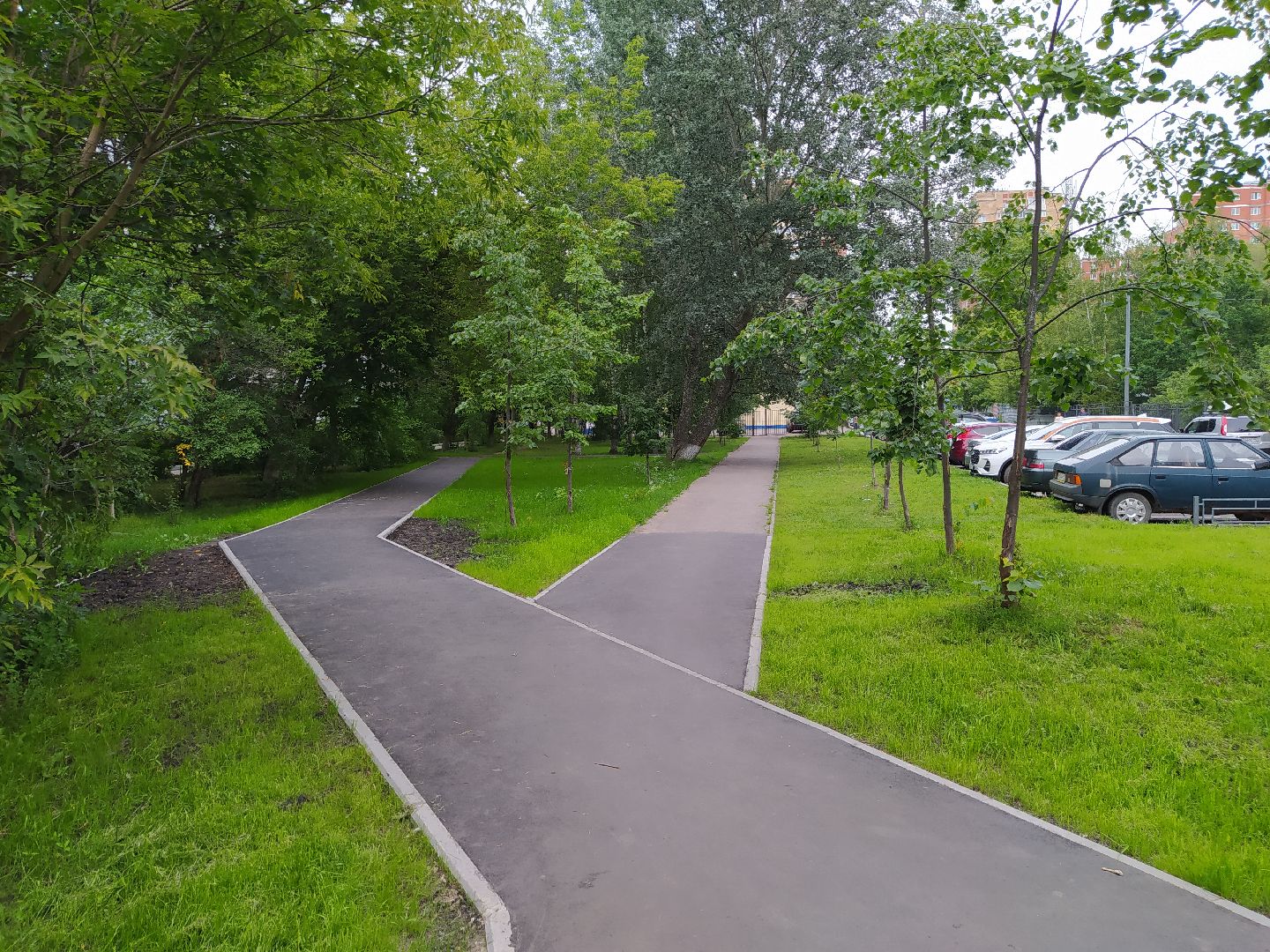 Нахабино, тропинка, благоустройство