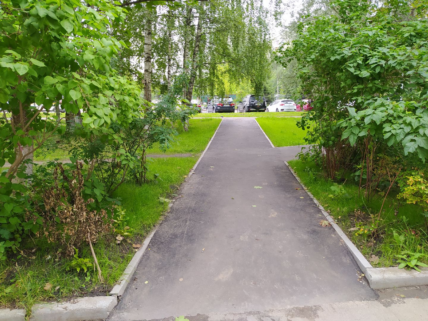 Нахабино, тропинка, благоустройство