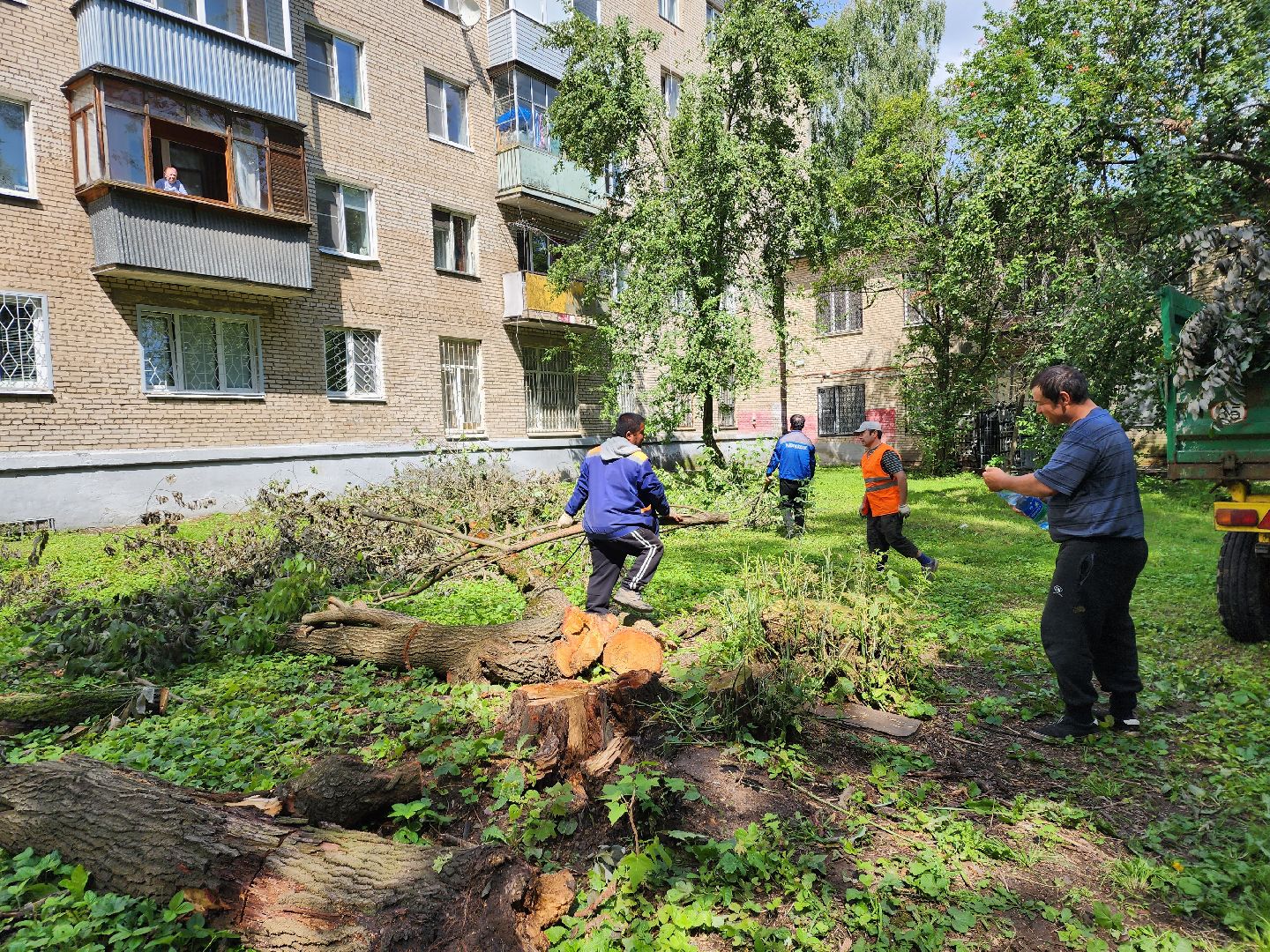 двор, ветер, дождь, доброе дело,