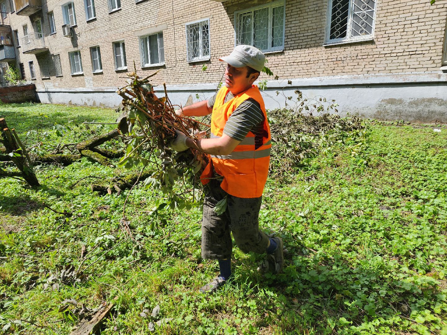 двор, ветер, дождь, доброе дело,