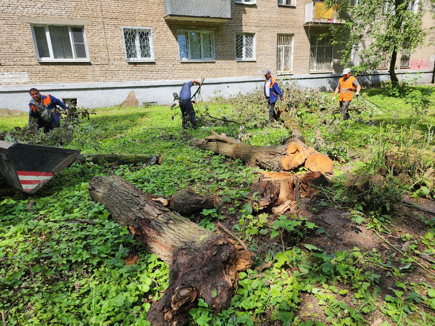 двор, ветер, дождь, доброе дело,