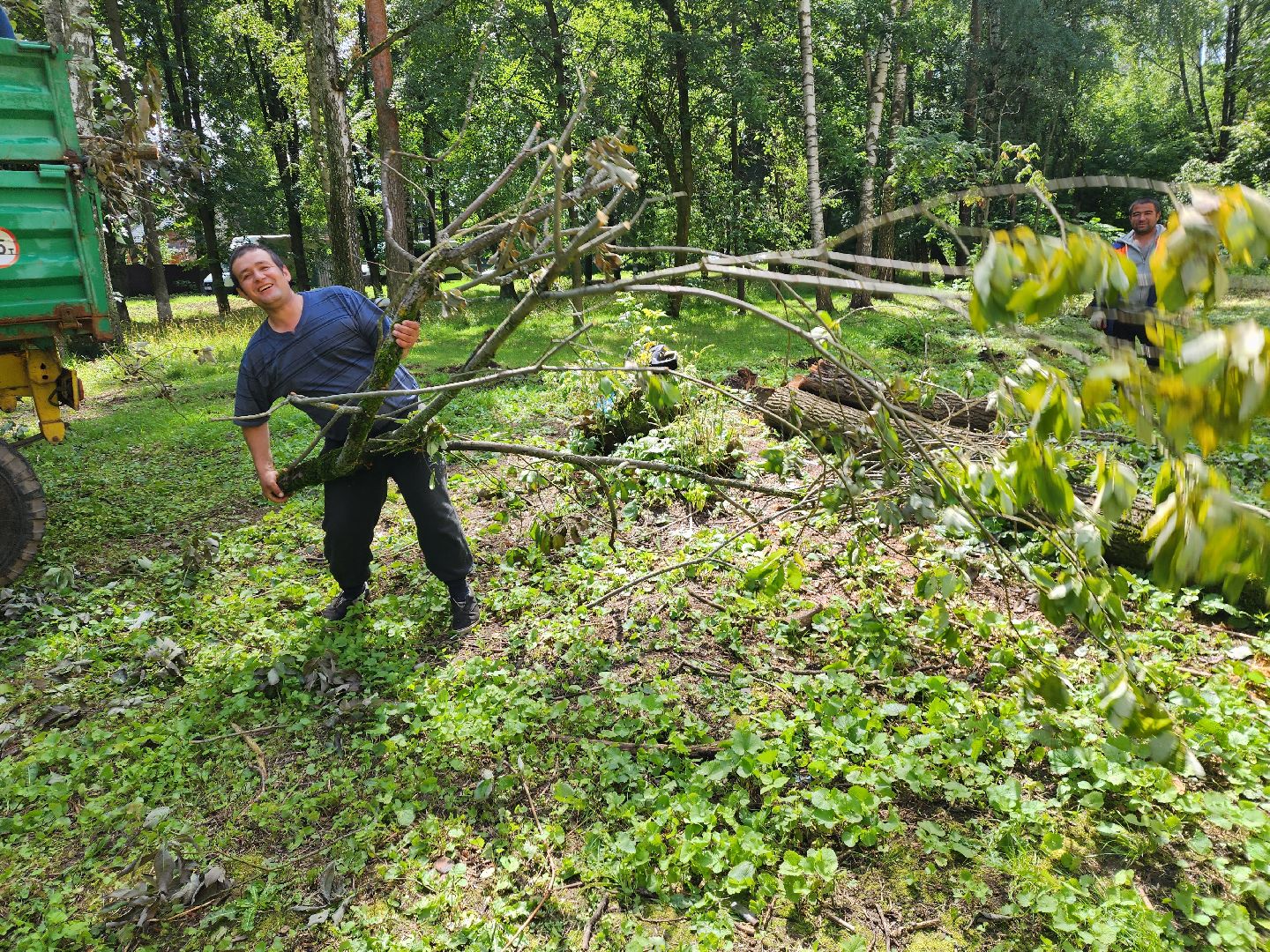 двор, ветер, дождь, доброе дело,