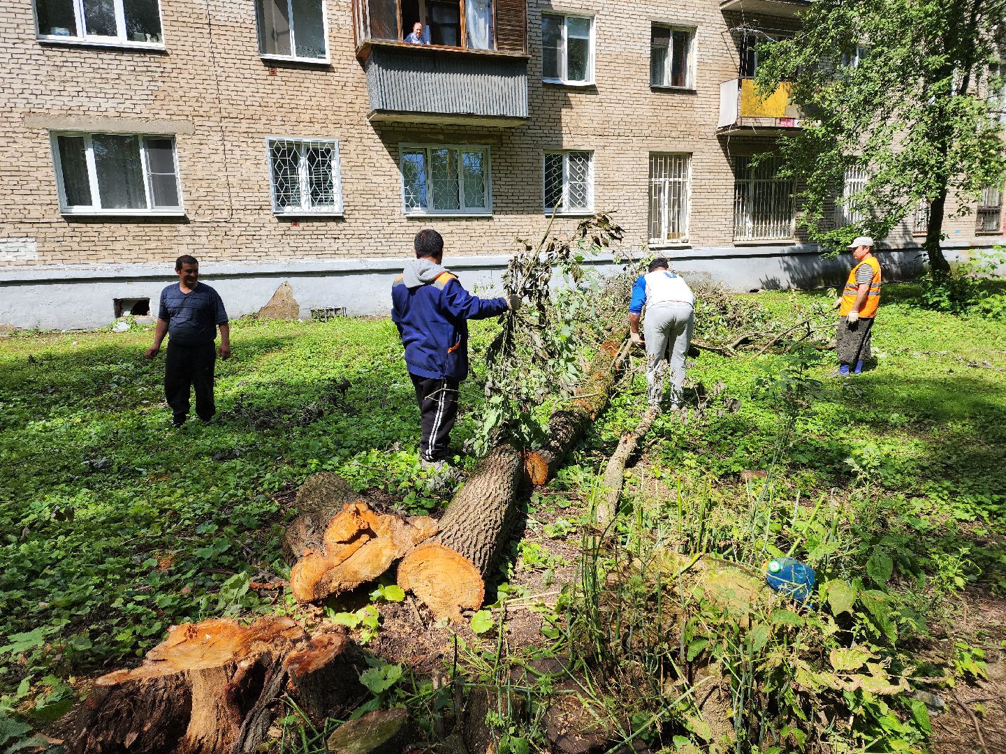 двор, ветер, дождь, доброе дело,