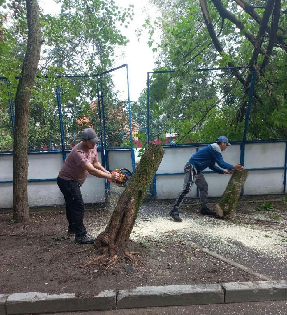 двор, ветер, дождь, доброе дело,