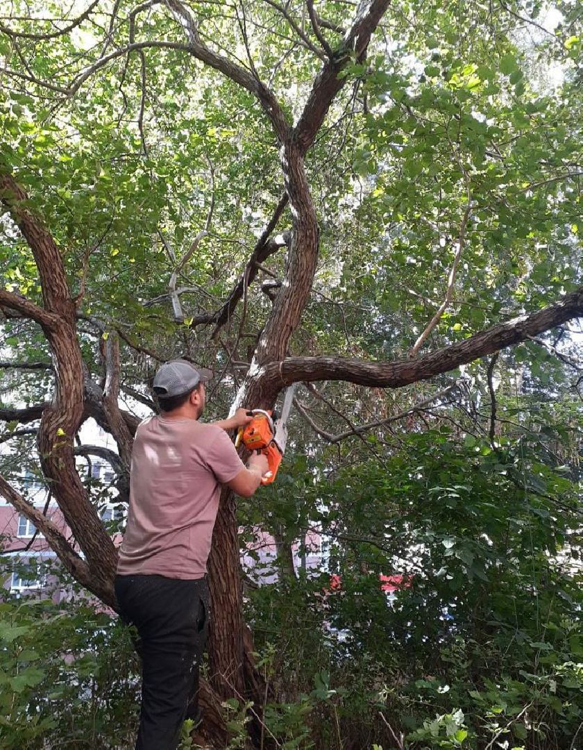 двор, ветер, дождь, доброе дело,