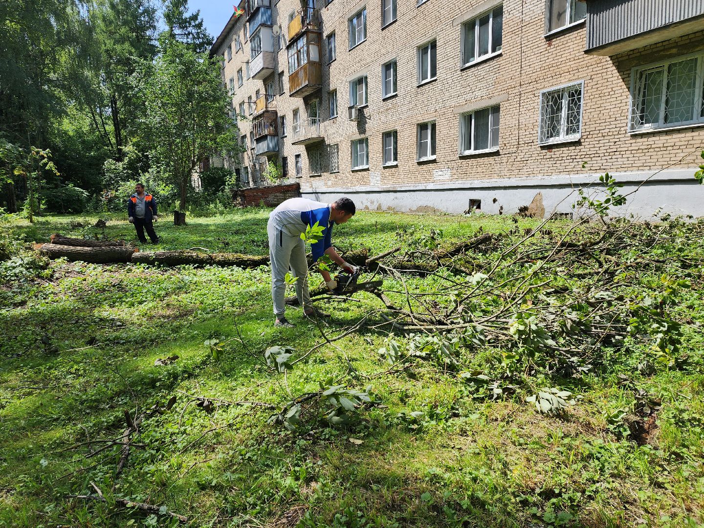 двор, ветер, дождь, доброе дело,