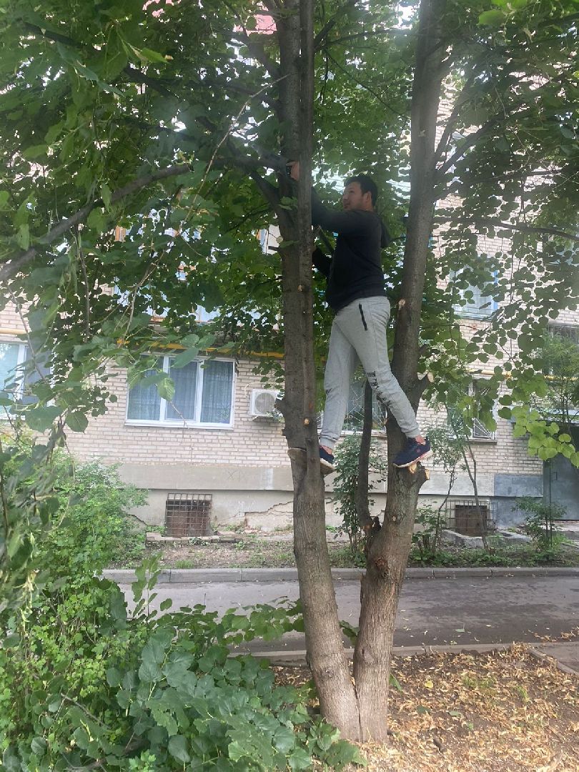 двор, ветер, дождь, доброе дело,