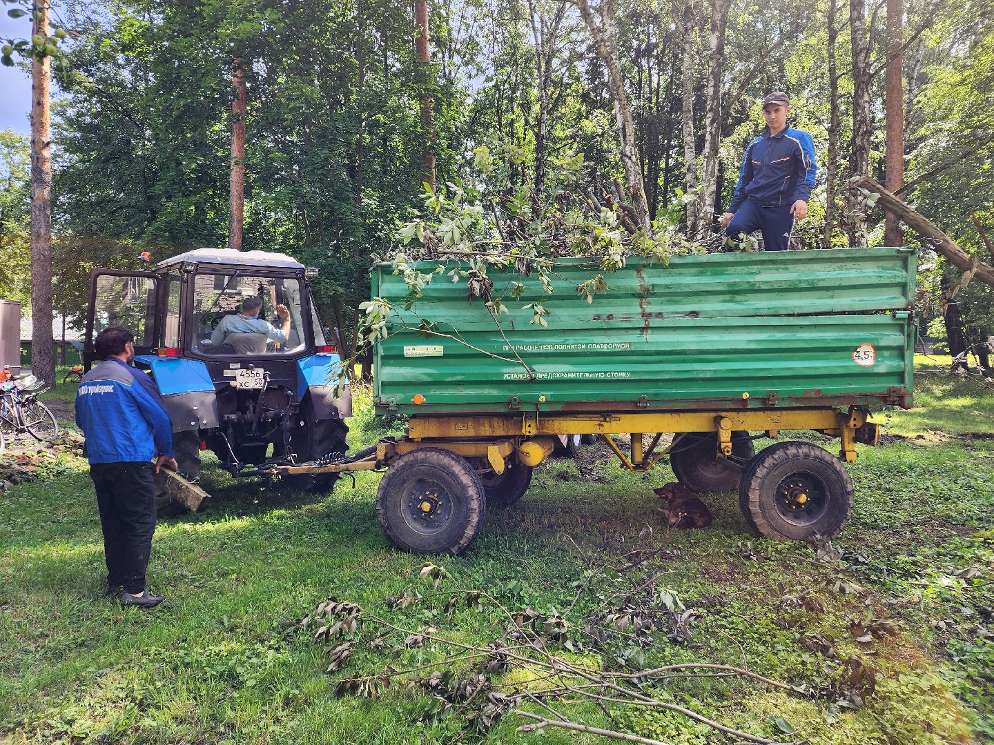 двор, ветер, дождь, доброе дело,