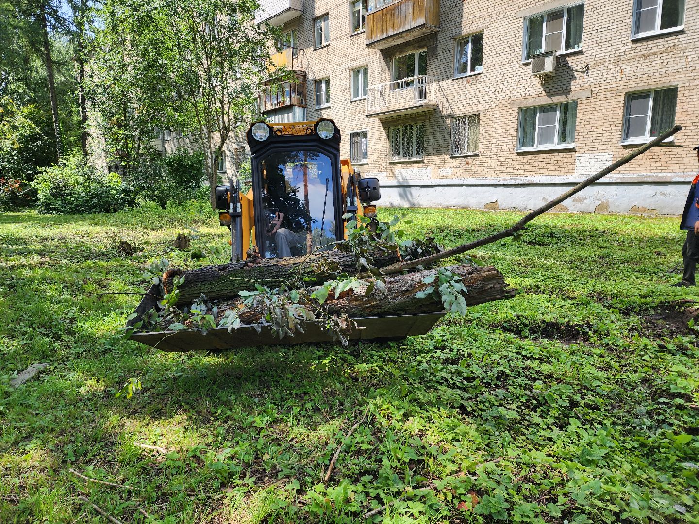 двор, ветер, дождь, доброе дело,