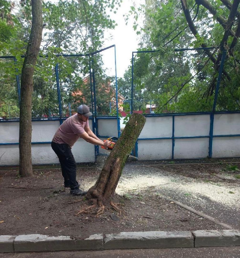 двор, ветер, дождь, доброе дело,