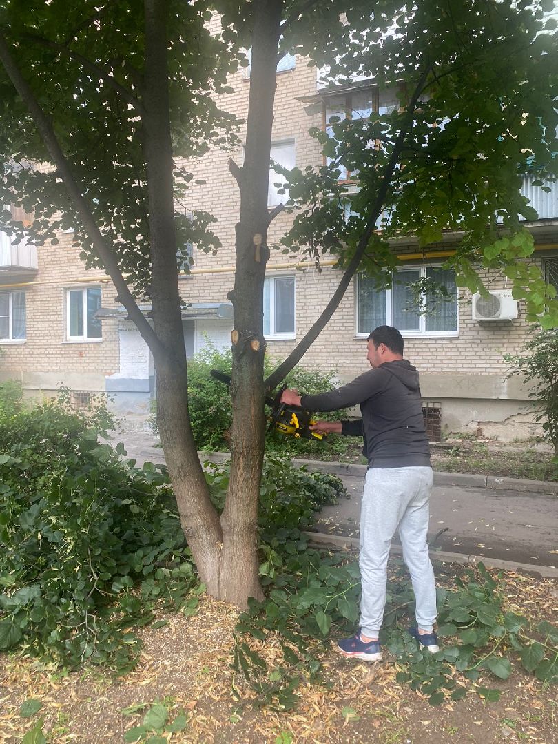 двор, ветер, дождь, доброе дело,