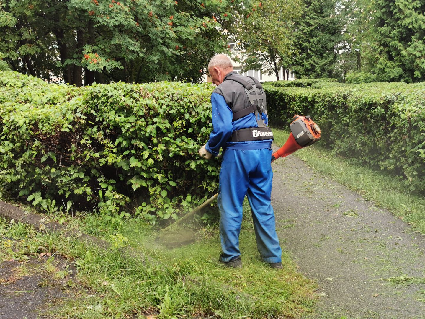 Подольск, трава, жкх