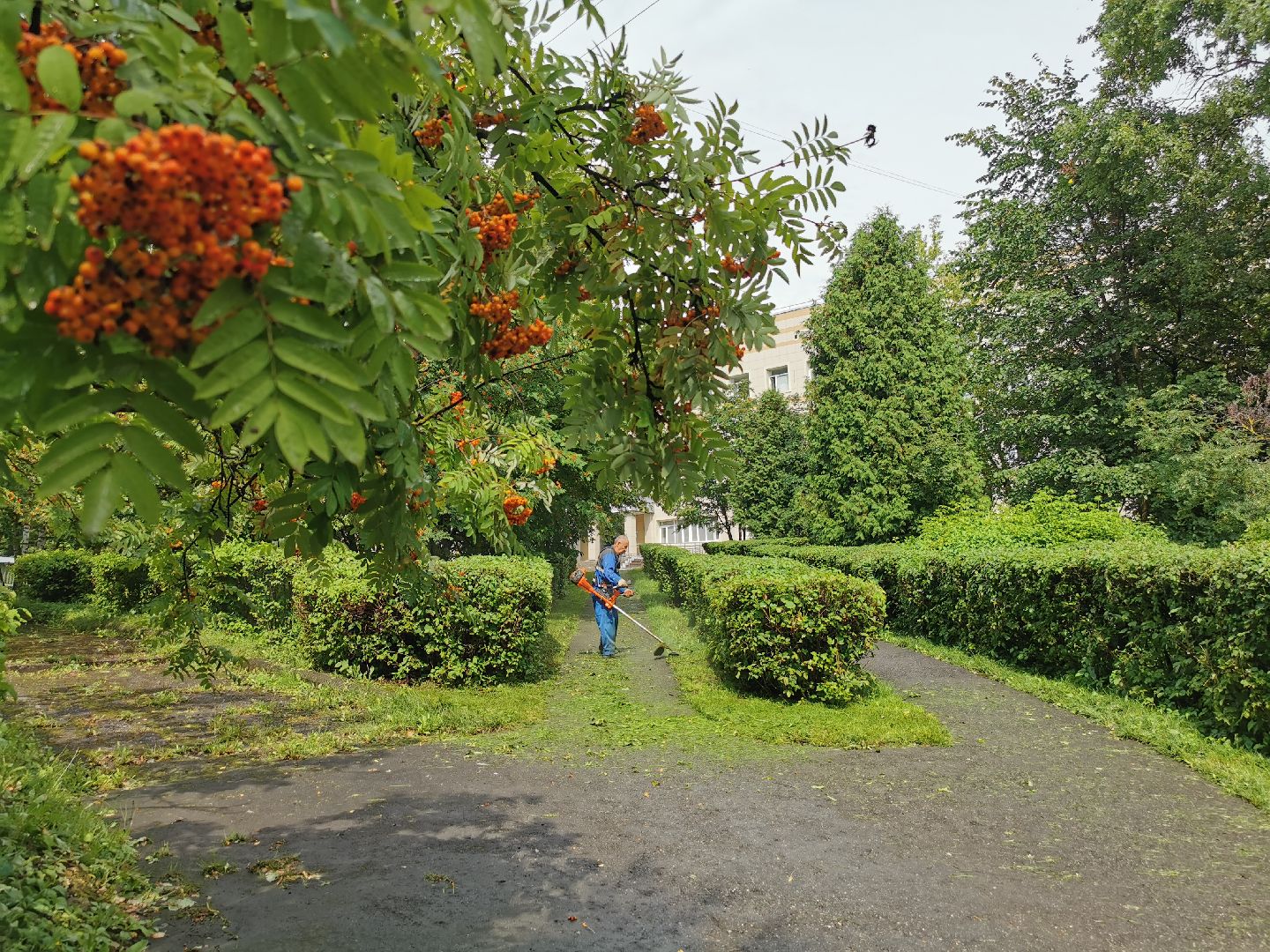 Подольск, трава, жкх