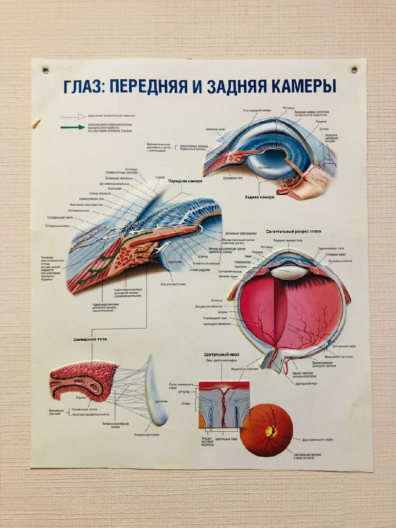 Руза, новое оборудование, офтальмолог, рефрактометр, пневмотонометр