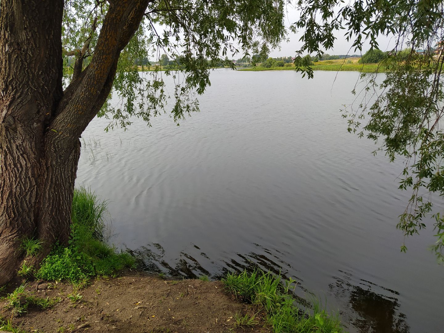 Нахабино, Красногорск, отдых, пруд