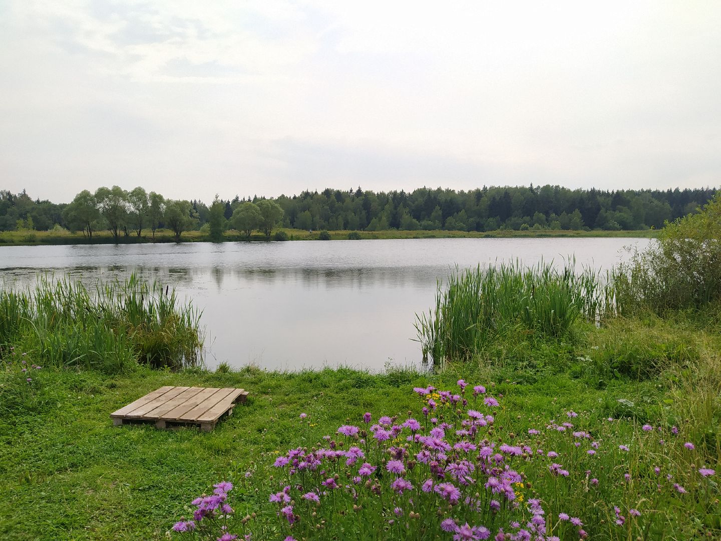 Нахабино, Красногорск, отдых, пруд