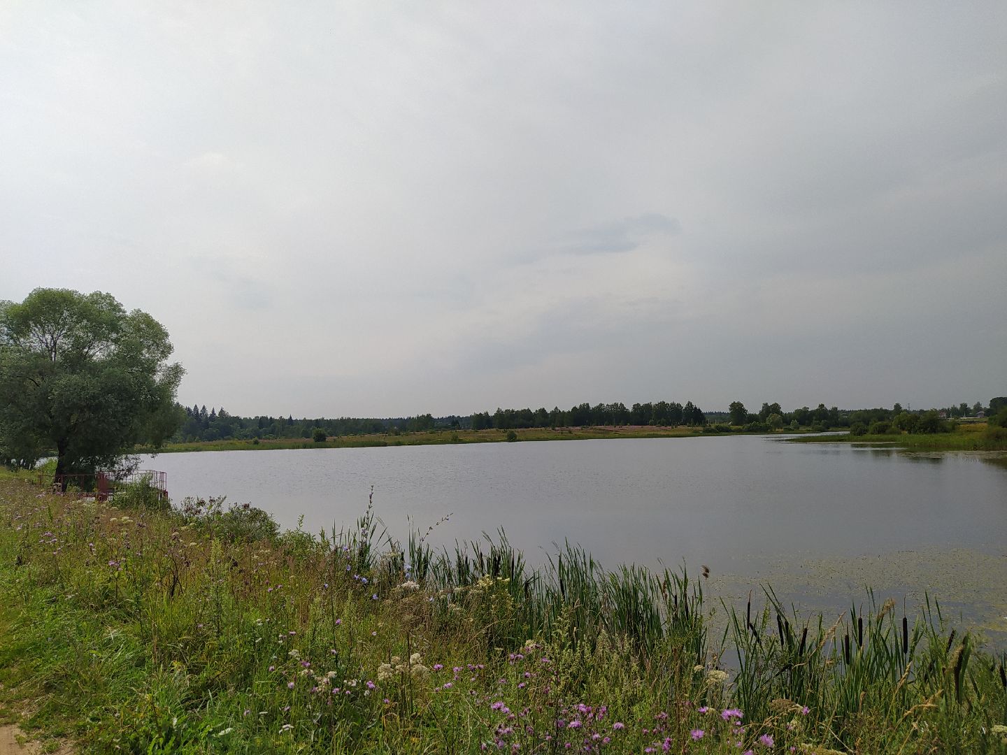 Нахабино, Красногорск, отдых, пруд