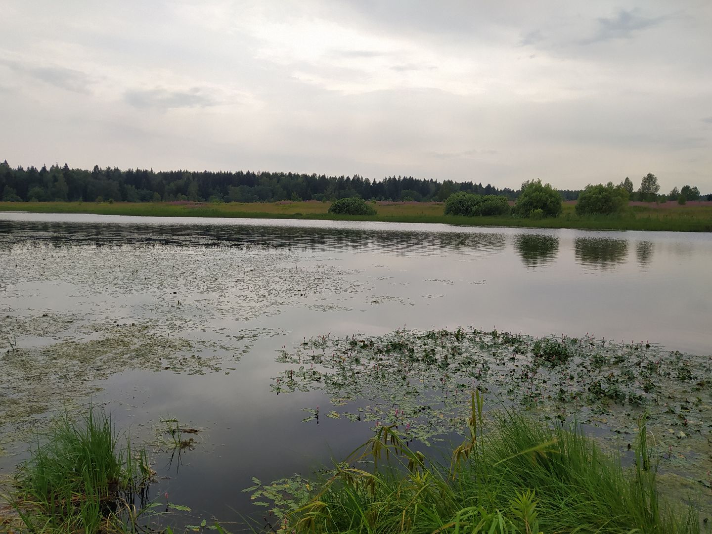 Нахабино, Красногорск, отдых, пруд