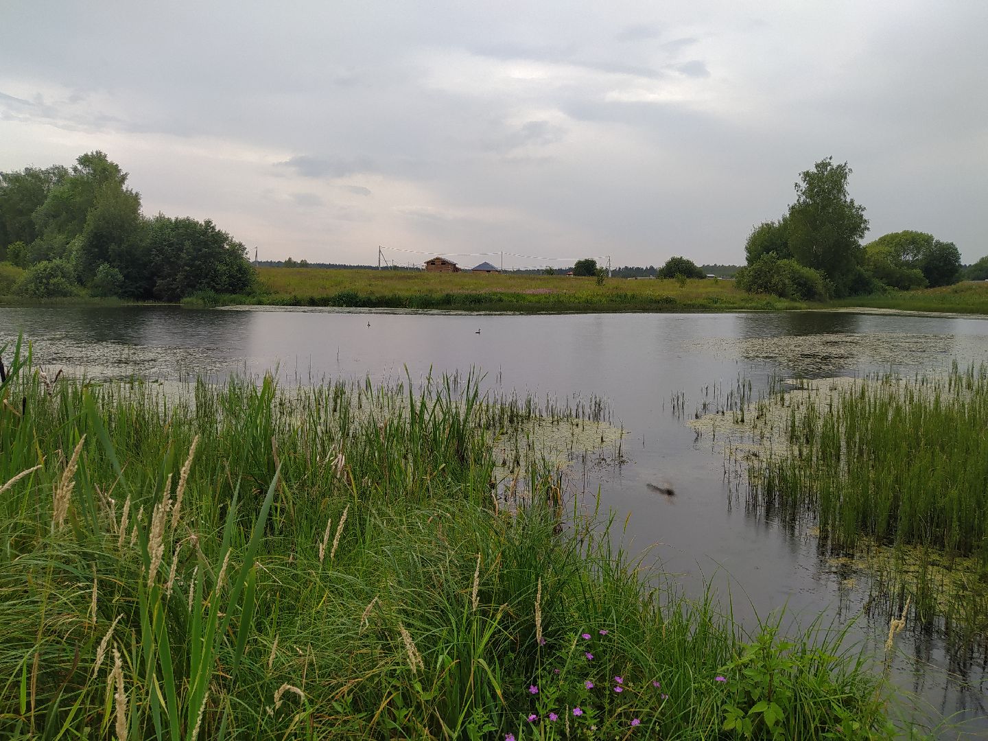 Нахабино, Красногорск, отдых, пруд