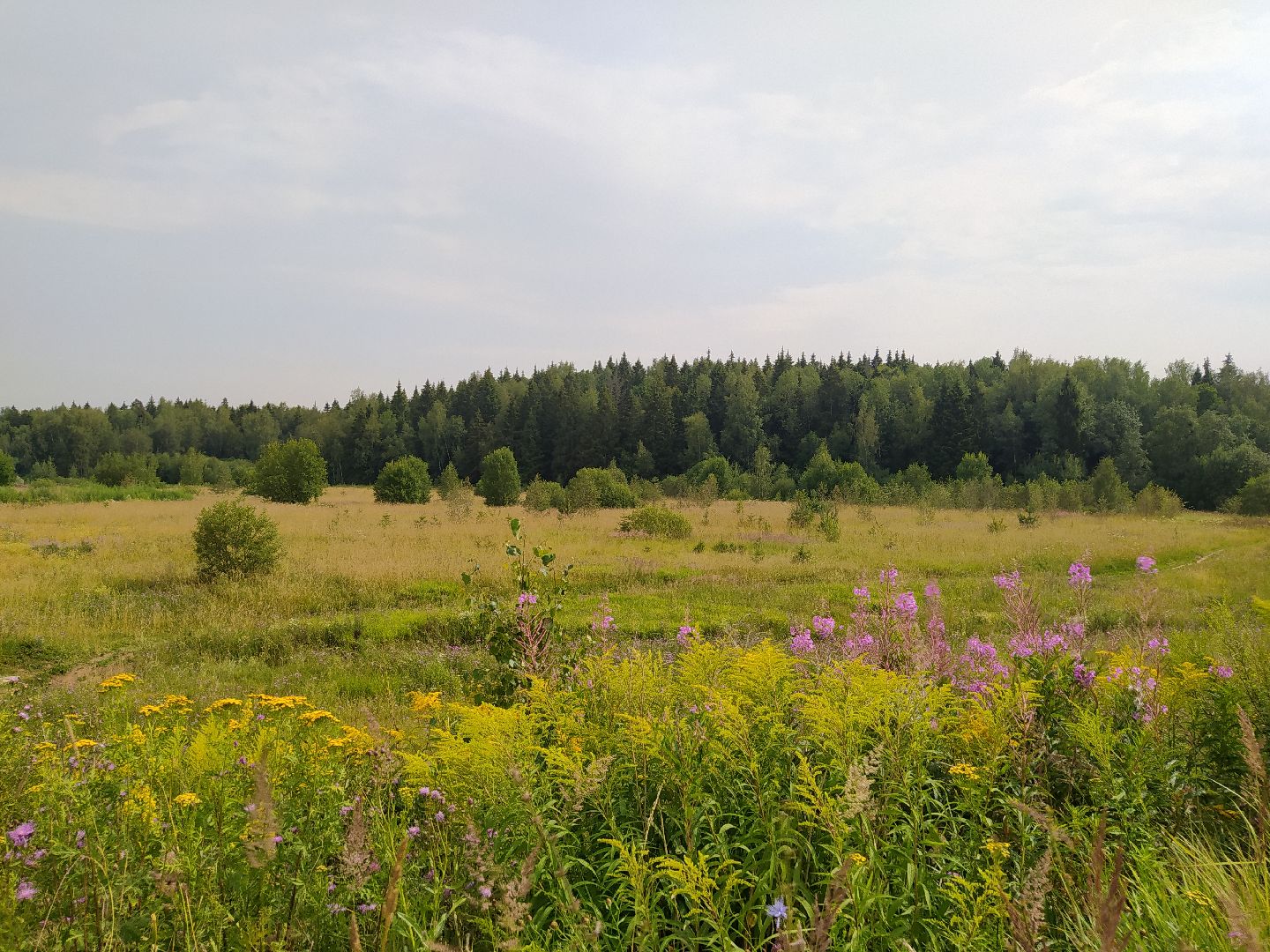 Нахабино, Красногорск, отдых, пруд