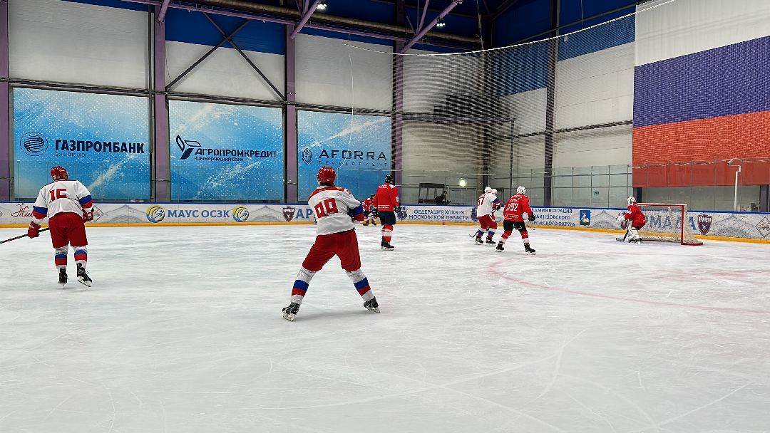 Одинцово, Хоккей, Кубок Гагарина, Ночная Хоккейная Лига, Александр Самокутяев, Красные звёзды